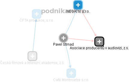 Pavel Strnad - Vizualizace  propojení osoby a firem v obchodním rejstříku