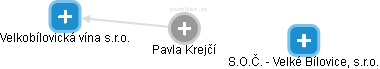 Pavla Krejčí - Vizualizace  propojení osoby a firem v obchodním rejstříku