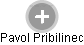 Pavol Pribilinec - Vizualizace  propojení osoby a firem v obchodním rejstříku