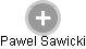 Pawel Sawicki - Vizualizace  propojení osoby a firem v obchodním rejstříku