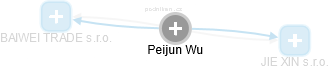  Peijun W. - Vizualizace  propojení osoby a firem v obchodním rejstříku