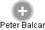 Peter Balcar - Vizualizace  propojení osoby a firem v obchodním rejstříku