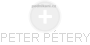 PETER PÉTERY - Vizualizace  propojení osoby a firem v obchodním rejstříku