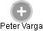 Peter Varga - Vizualizace  propojení osoby a firem v obchodním rejstříku