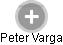 Peter Varga - Vizualizace  propojení osoby a firem v obchodním rejstříku
