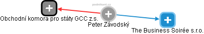  Peter Z. - Vizualizace  propojení osoby a firem v obchodním rejstříku