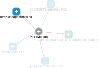 Petr Ayeboua - Vizualizace  propojení osoby a firem v obchodním rejstříku