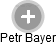 Petr Bayer - Vizualizace  propojení osoby a firem v obchodním rejstříku