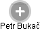 Petr Bukač - Vizualizace  propojení osoby a firem v obchodním rejstříku