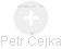 Petr Čejka - Vizualizace  propojení osoby a firem v obchodním rejstříku