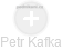 Petr Kafka - Vizualizace  propojení osoby a firem v obchodním rejstříku