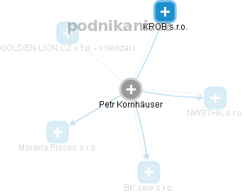 Petr Kornhäuser - Vizualizace  propojení osoby a firem v obchodním rejstříku