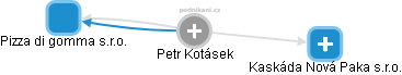 Petr Kotásek - Vizualizace  propojení osoby a firem v obchodním rejstříku