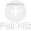 Petr Kříž - Vizualizace  propojení osoby a firem v obchodním rejstříku