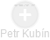 Petr Kubín - Vizualizace  propojení osoby a firem v obchodním rejstříku