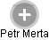Petr Merta - Vizualizace  propojení osoby a firem v obchodním rejstříku