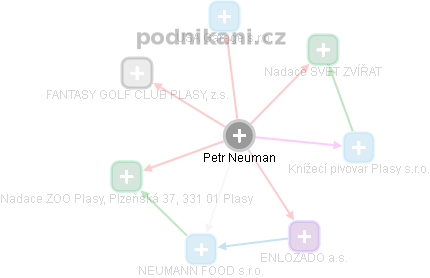 Petr Neuman - Vizualizace  propojení osoby a firem v obchodním rejstříku