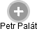 Petr Palát - Vizualizace  propojení osoby a firem v obchodním rejstříku