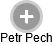 Petr Pech - Vizualizace  propojení osoby a firem v obchodním rejstříku