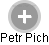 Petr Pich - Vizualizace  propojení osoby a firem v obchodním rejstříku