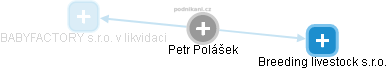 Petr Polášek - Vizualizace  propojení osoby a firem v obchodním rejstříku