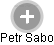 Petr Sabo - Vizualizace  propojení osoby a firem v obchodním rejstříku