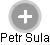  Sula P. - Vizualizace  propojení osoby a firem v obchodním rejstříku