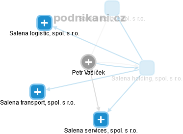 Petr Vašíček - Vizualizace  propojení osoby a firem v obchodním rejstříku