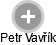 Petr Vavřík - Vizualizace  propojení osoby a firem v obchodním rejstříku