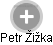 Petr Žižka - Vizualizace  propojení osoby a firem v obchodním rejstříku