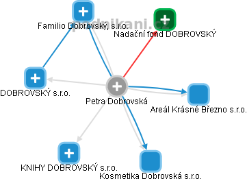 Petra Dobrovská - Vizualizace  propojení osoby a firem v obchodním rejstříku