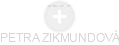  Zikmundová P. - Vizualizace  propojení osoby a firem v obchodním rejstříku