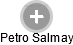 Petro Salmay - Vizualizace  propojení osoby a firem v obchodním rejstříku