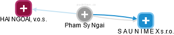  Pham N. - Vizualizace  propojení osoby a firem v obchodním rejstříku