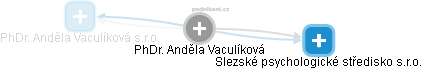Anděla Vaculíková - Vizualizace  propojení osoby a firem v obchodním rejstříku