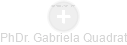  Gabriela Q. - Vizualizace  propojení osoby a firem v obchodním rejstříku