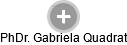  Gabriela Q. - Vizualizace  propojení osoby a firem v obchodním rejstříku