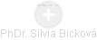 Silvia Bicková - Vizualizace  propojení osoby a firem v obchodním rejstříku