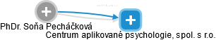 Soňa Pecháčková - Vizualizace  propojení osoby a firem v obchodním rejstříku