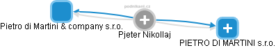  Pjeter N. - Vizualizace  propojení osoby a firem v obchodním rejstříku