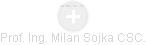 Milan Sojka - Vizualizace  propojení osoby a firem v obchodním rejstříku