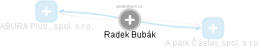 Radek Bubák - Vizualizace  propojení osoby a firem v obchodním rejstříku