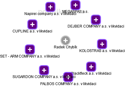  Radek Ch. - Vizualizace  propojení osoby a firem v obchodním rejstříku