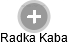 Radka Kaba - Vizualizace  propojení osoby a firem v obchodním rejstříku