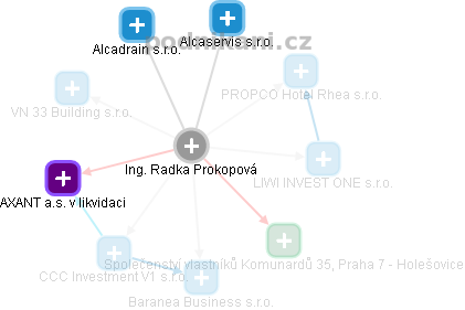Radka Prokopová - Vizualizace  propojení osoby a firem v obchodním rejstříku