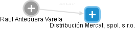  Raul V. - Vizualizace  propojení osoby a firem v obchodním rejstříku