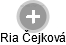 Ria Čejková - Vizualizace  propojení osoby a firem v obchodním rejstříku