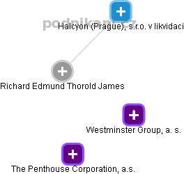 Richard Edmund Thorold James - Vizualizace  propojení osoby a firem v obchodním rejstříku