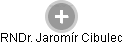  Jaromír C. - Vizualizace  propojení osoby a firem v obchodním rejstříku