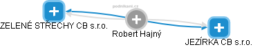 Robert Hajný - Vizualizace  propojení osoby a firem v obchodním rejstříku